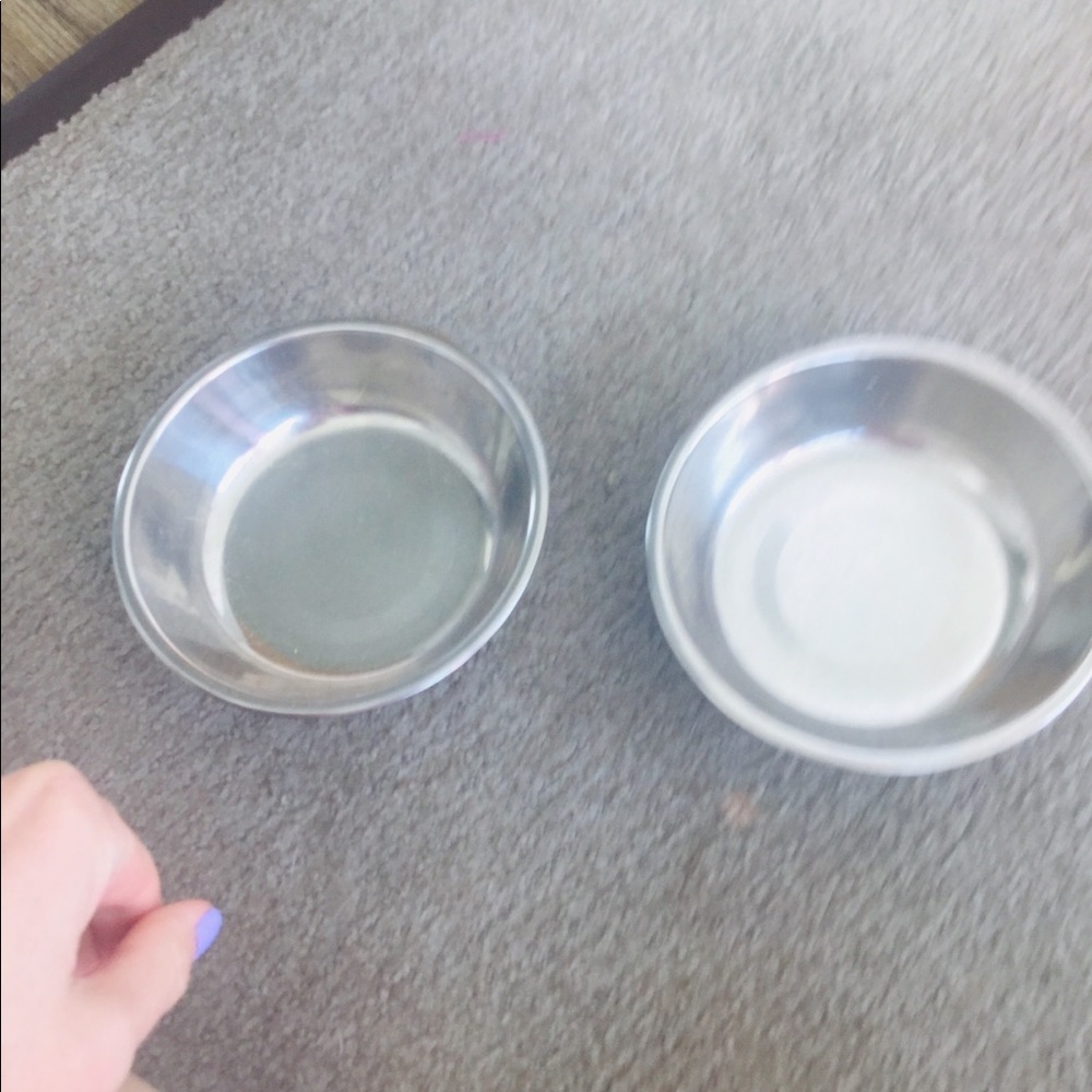 Dog bowl set. For very small dog